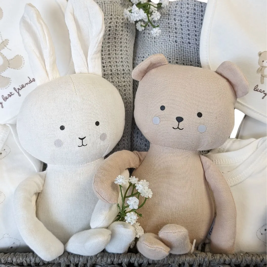 Large Twins Baby Gift Hamper Beary Best Friends