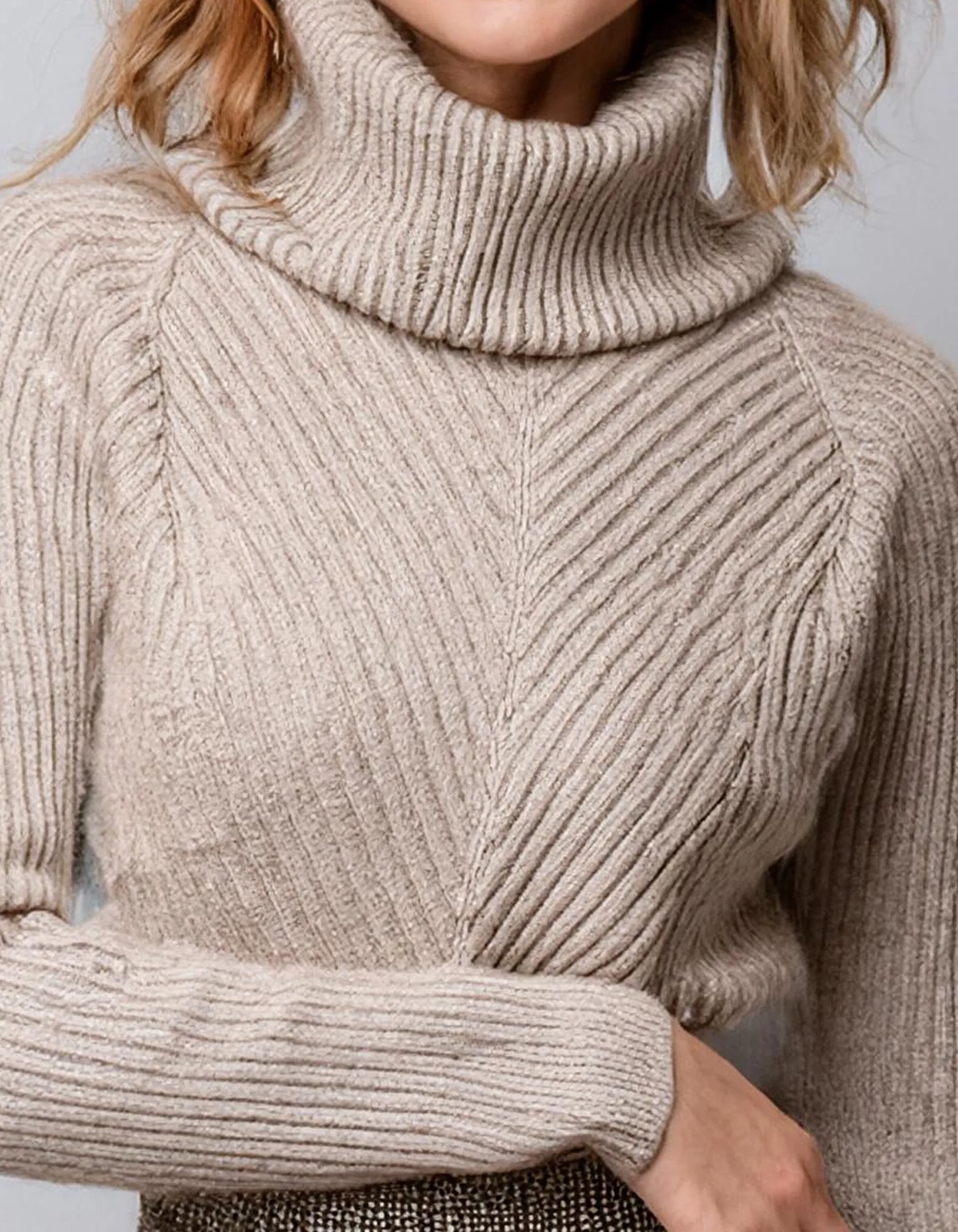 Light Grey Casual Turtleneck Sweater