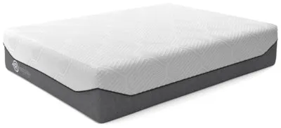 Realign 13 Firm Queen Mattress