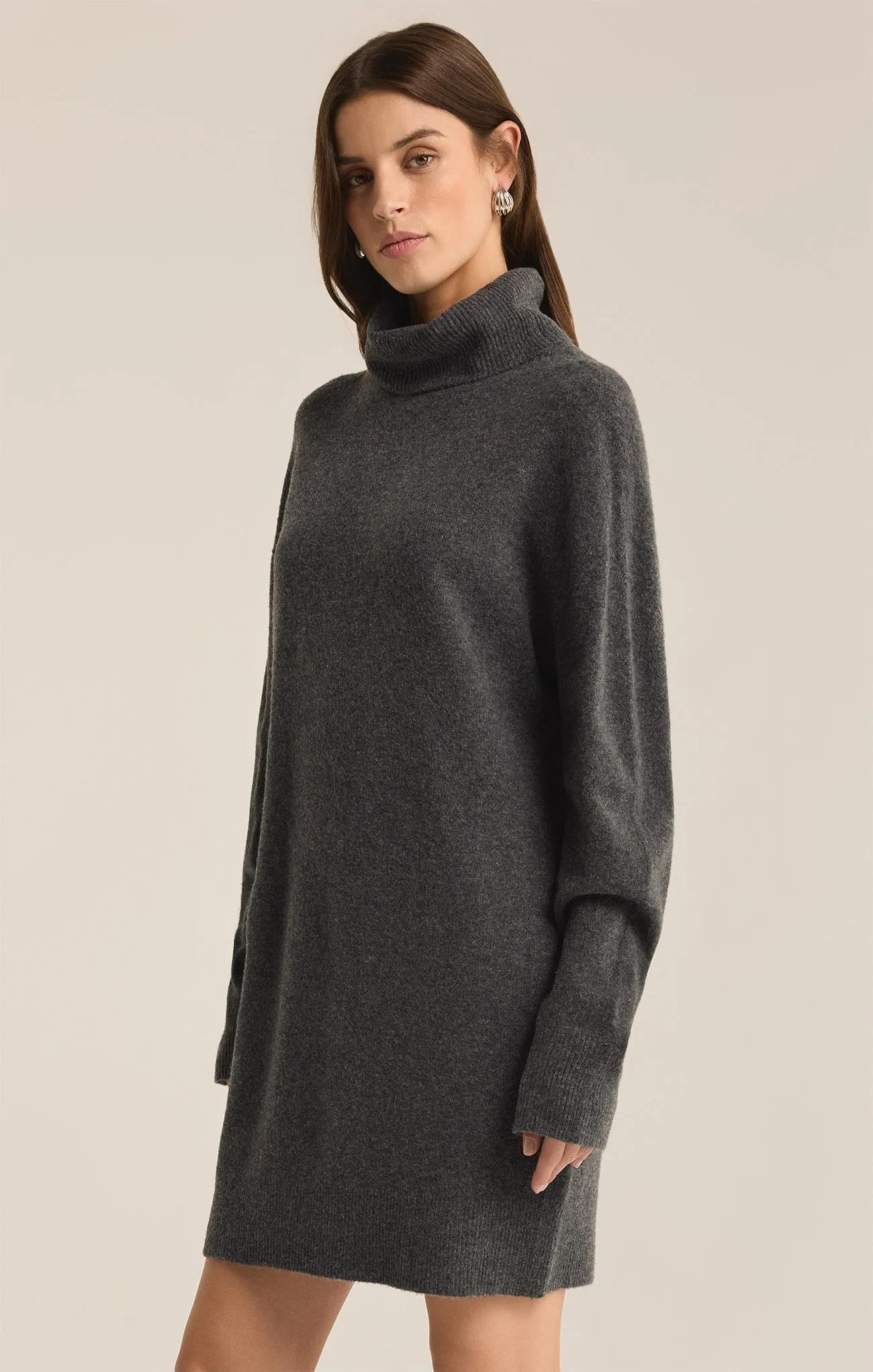 Richie Relaxed Turtleneck Sweater Mini Dress