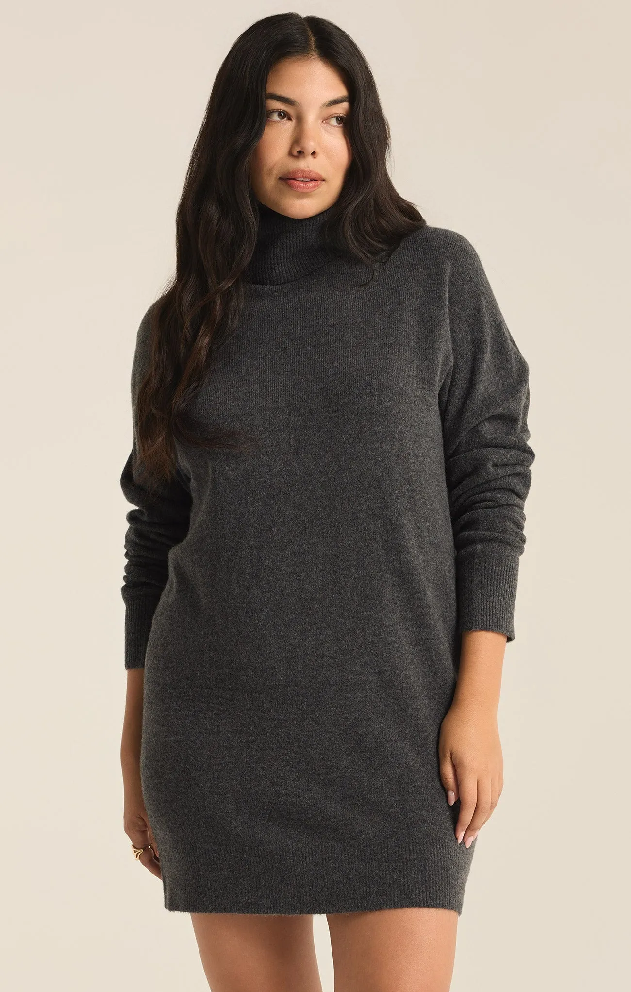 Richie Relaxed Turtleneck Sweater Mini Dress