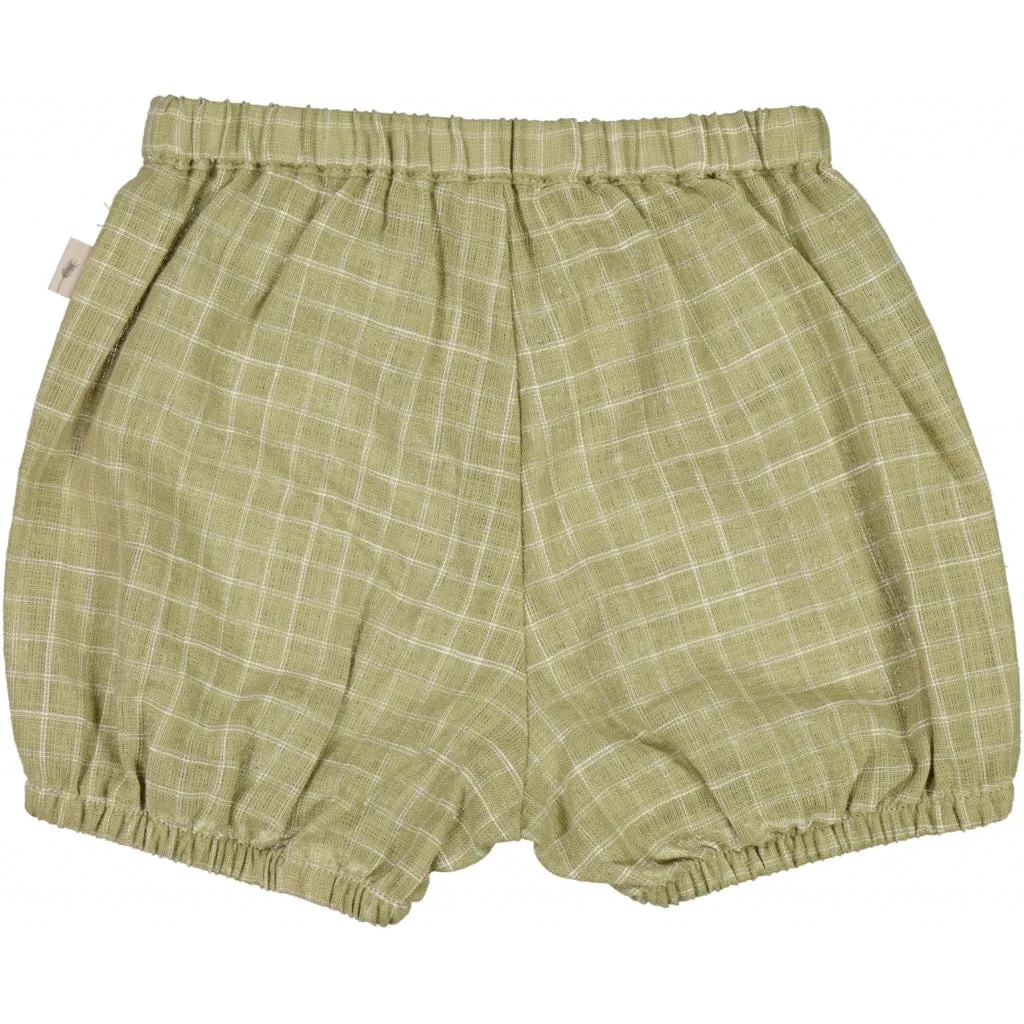 Shorts Olly - green check