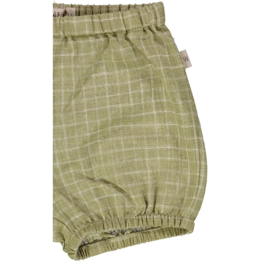 Shorts Olly - green check